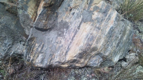 Гигантские зелёные валуны для ландшафтного дизайна весом более 5 тонн купить в Чебоксарах